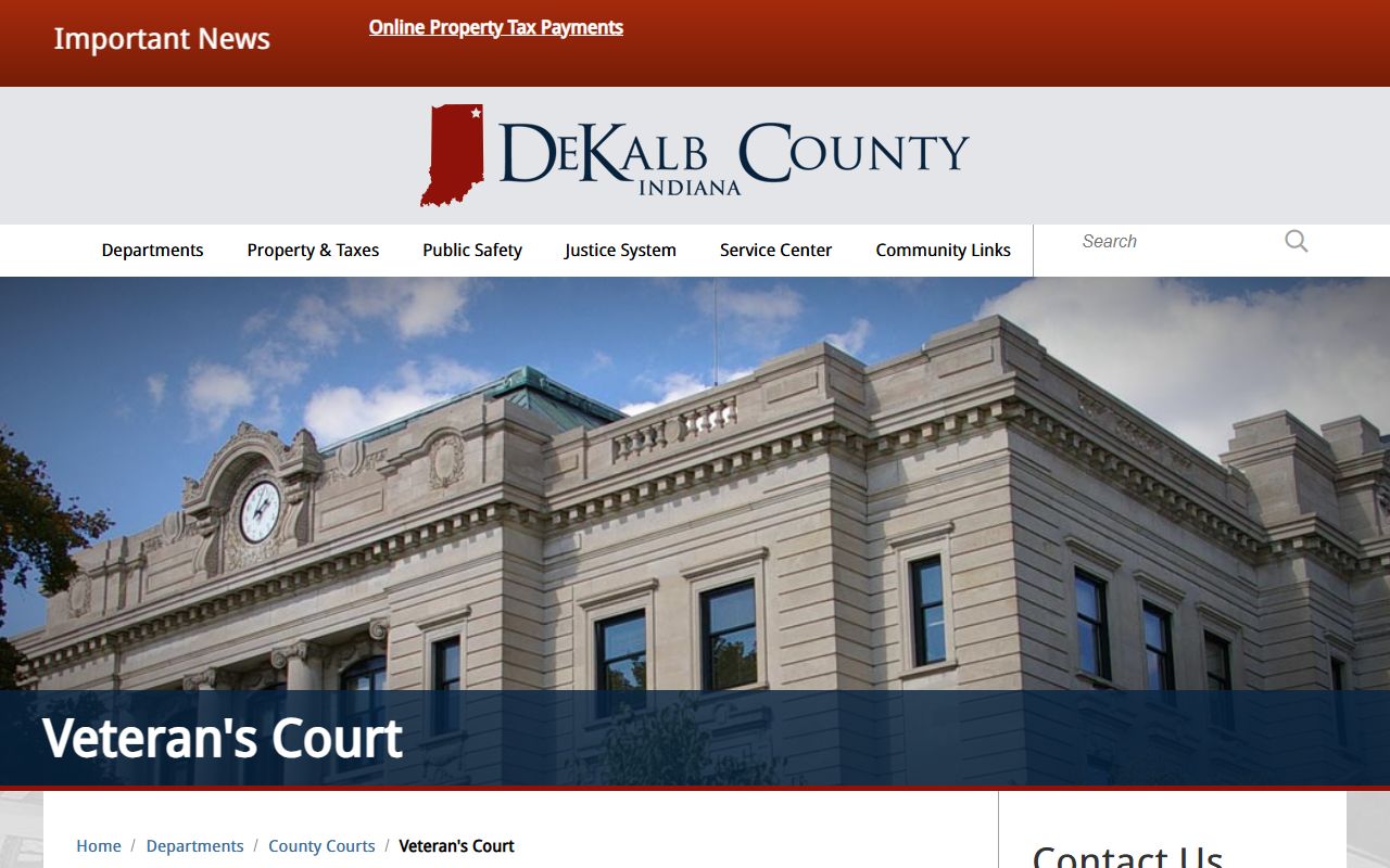 DeKalb County Circuit and Superior Courts specialty court record source